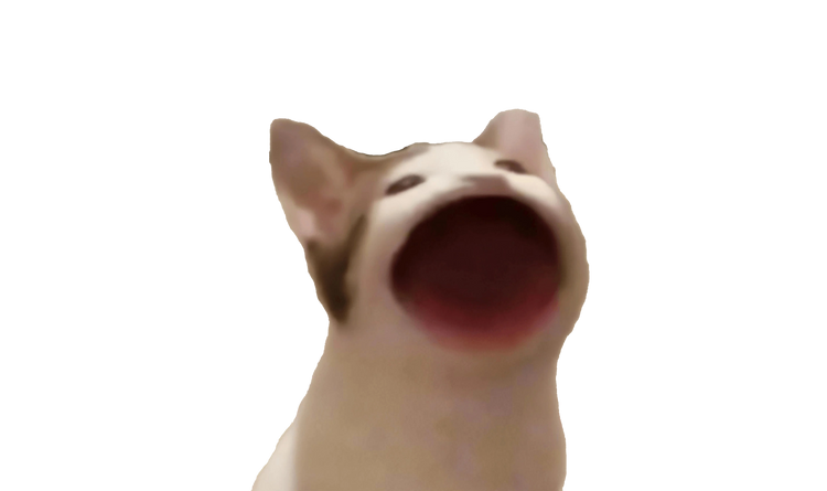 $POPCAT